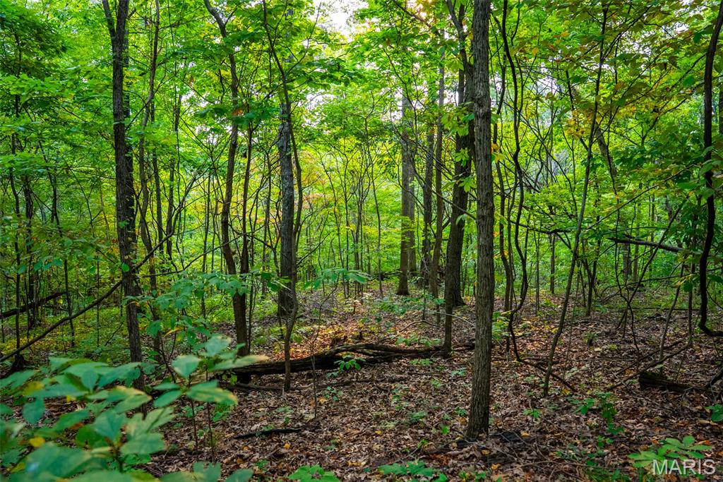 Xxx Kk Road Waterloo, IL 62298 - Photo 40 of 69