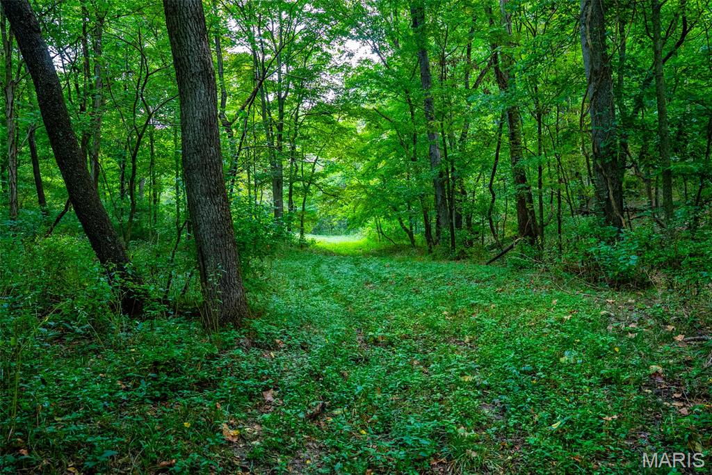 Xxx Kk Road Waterloo, IL 62298 - Photo 41 of 69