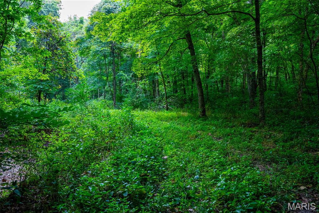 Xxx Kk Road Waterloo, IL 62298 - Photo 42 of 69