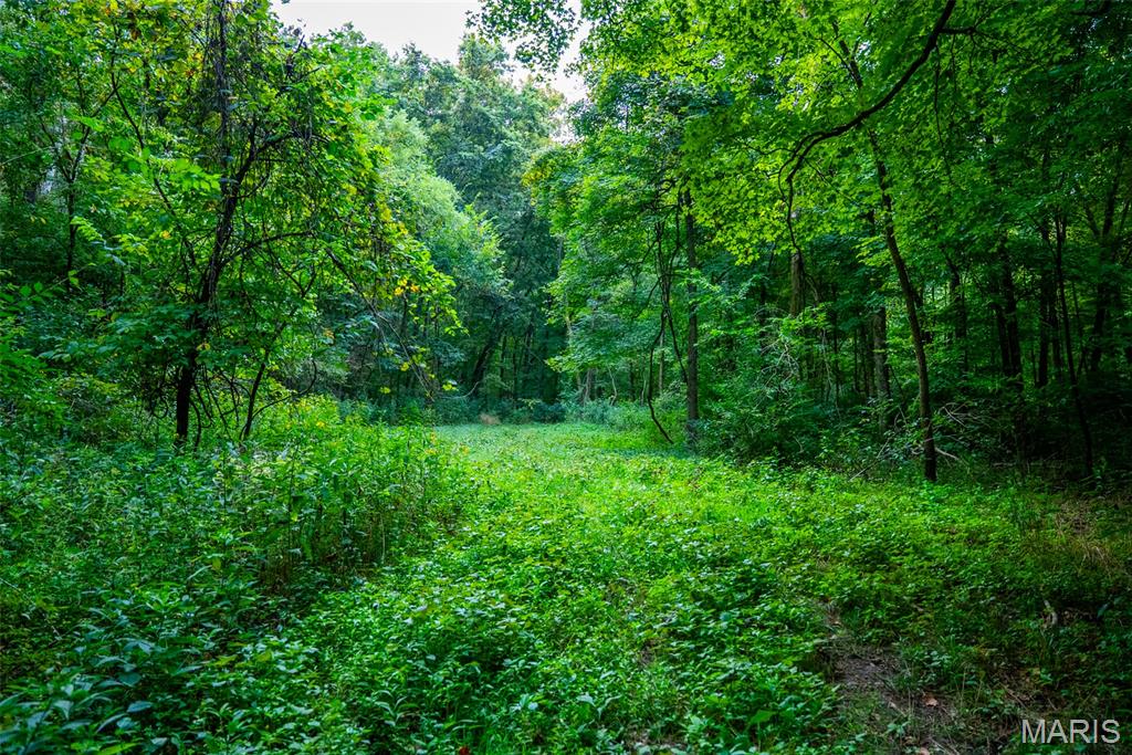 Xxx Kk Road Waterloo, IL 62298 - Photo 44 of 69