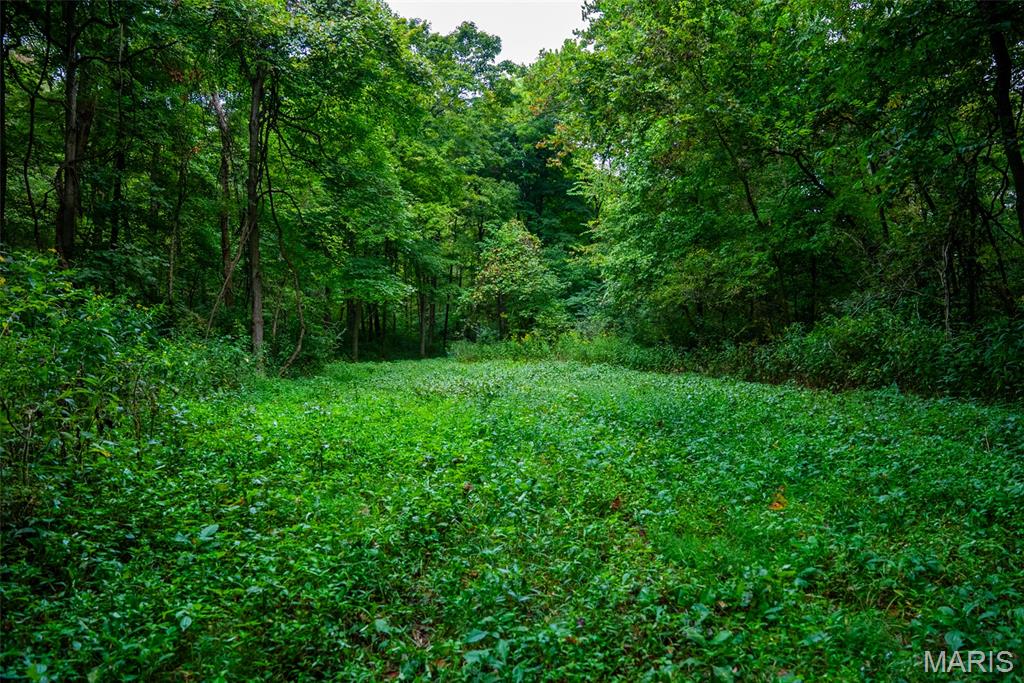 Xxx Kk Road Waterloo, IL 62298 - Photo 45 of 69