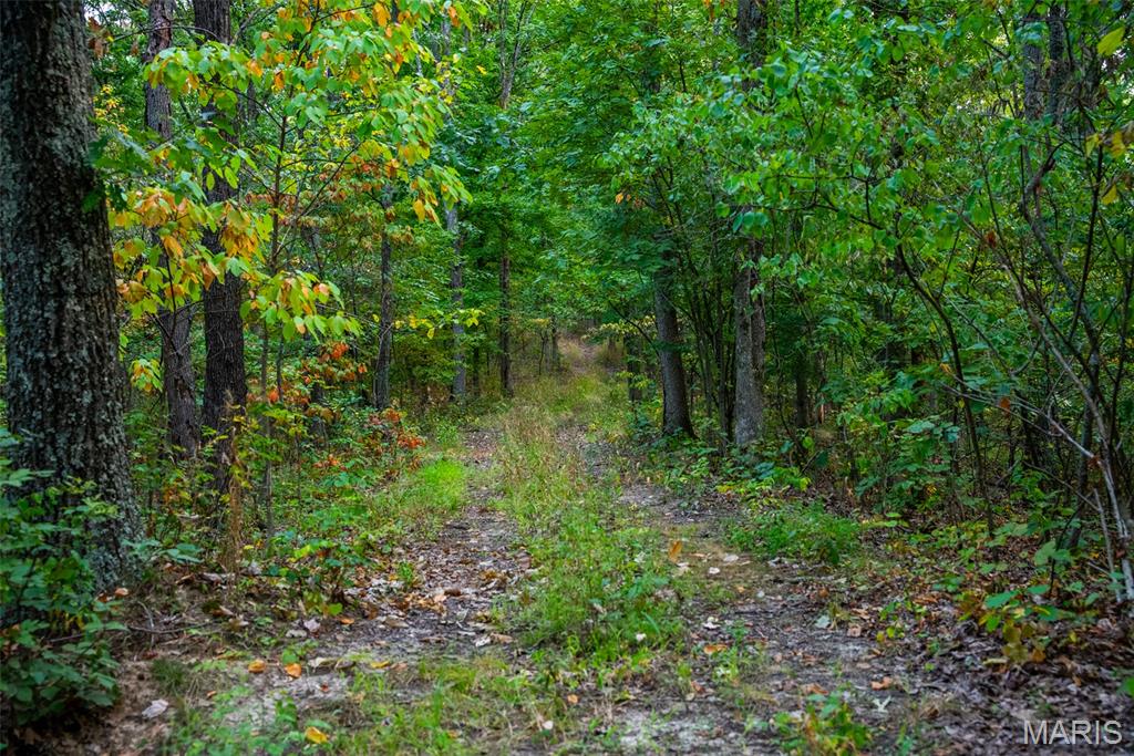 Xxx Kk Road Waterloo, IL 62298 - Photo 48 of 69