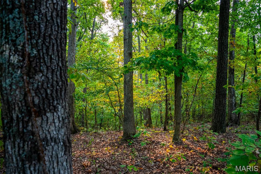 Xxx Kk Road Waterloo, IL 62298 - Photo 49 of 69