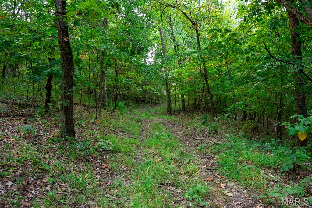 Xxx Kk Road Waterloo, IL 62298 - Photo 50 of 69