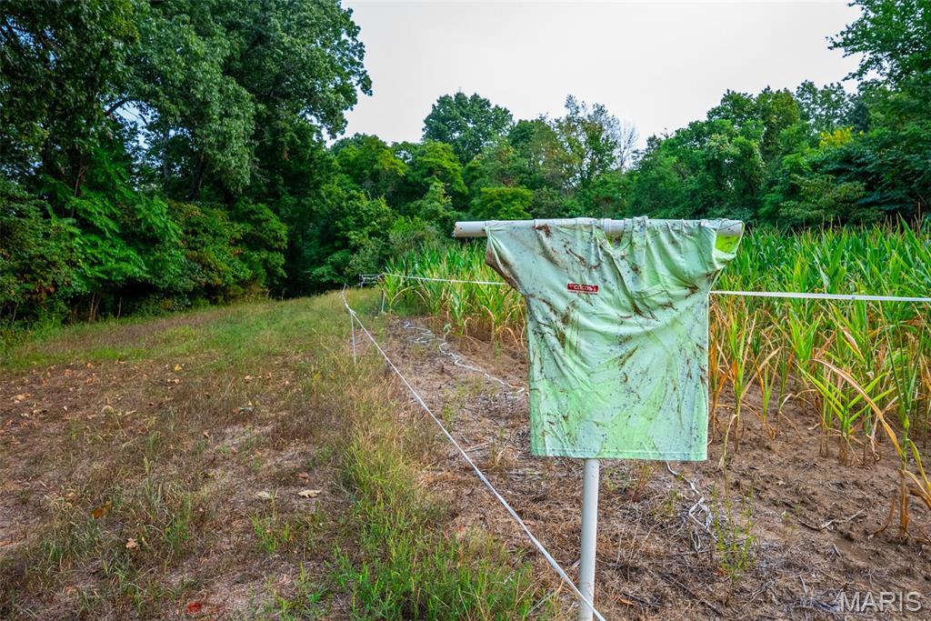 Xxx Kk Road Waterloo, IL 62298 - Photo 52 of 69