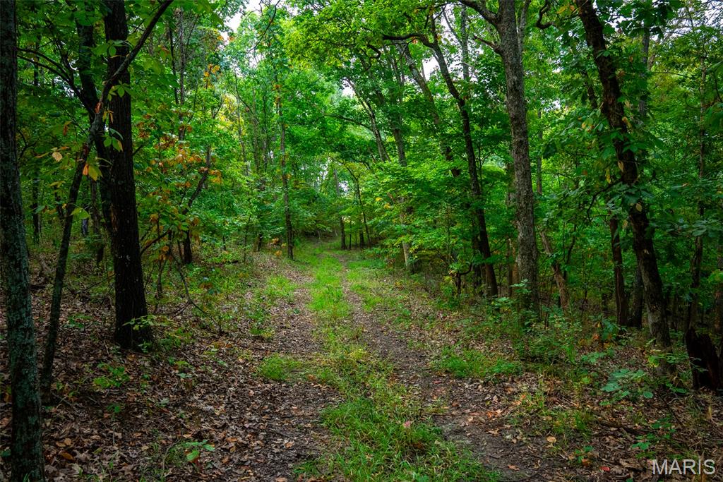 Xxx Kk Road Waterloo, IL 62298 - Photo 53 of 69