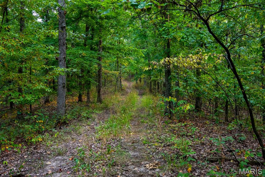 Xxx Kk Road Waterloo, IL 62298 - Photo 54 of 69