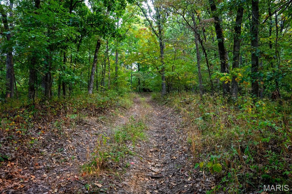 Xxx Kk Road Waterloo, IL 62298 - Photo 55 of 69