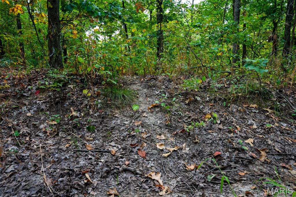 Xxx Kk Road Waterloo, IL 62298 - Photo 56 of 69