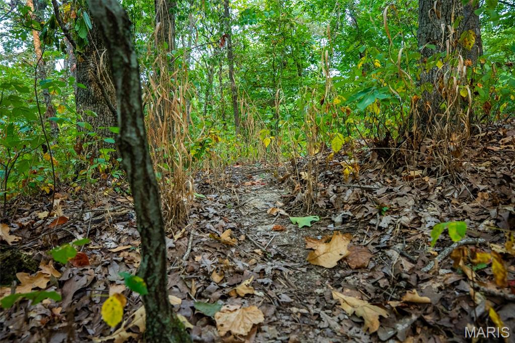 Xxx Kk Road Waterloo, IL 62298 - Photo 57 of 69