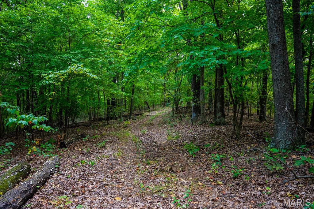 Xxx Kk Road Waterloo, IL 62298 - Photo 58 of 69