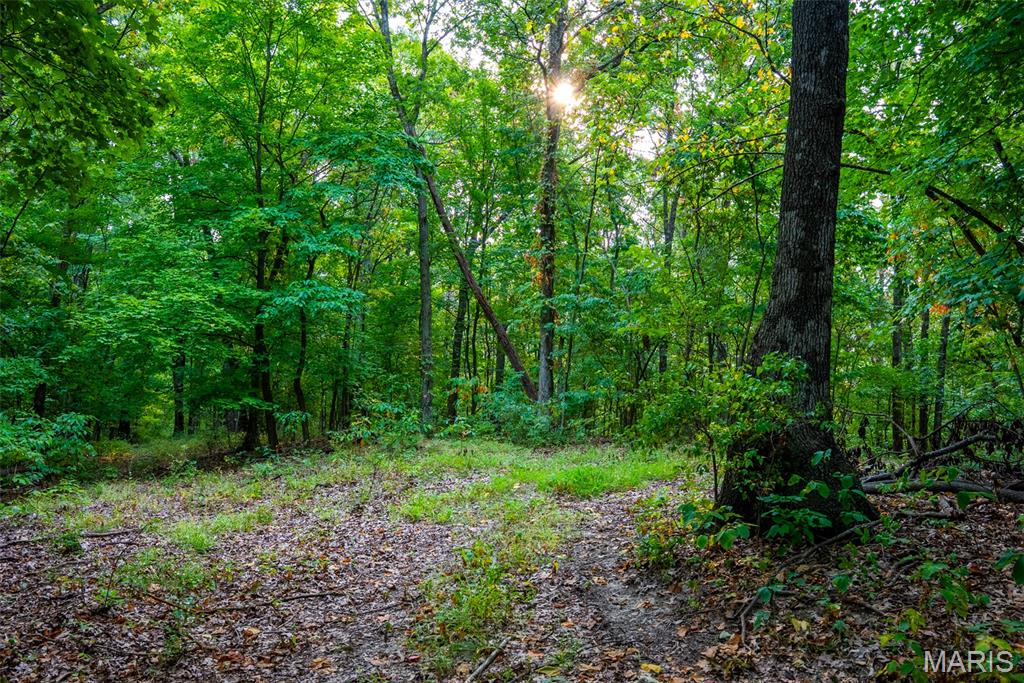 Xxx Kk Road Waterloo, IL 62298 - Photo 60 of 69