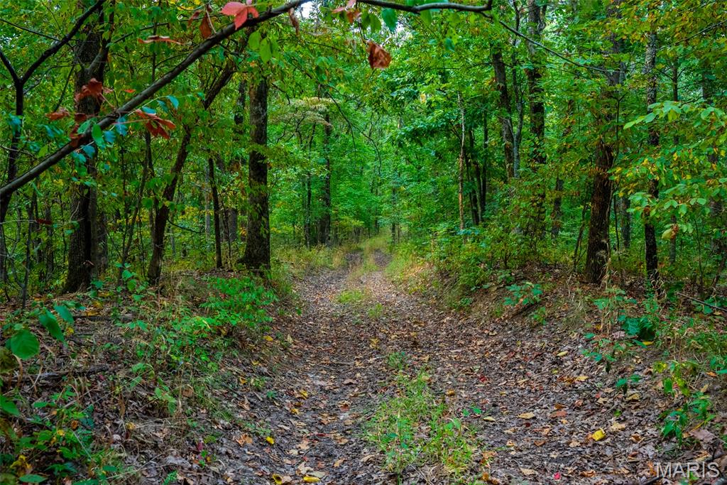 Xxx Kk Road Waterloo, IL 62298 - Photo 62 of 69