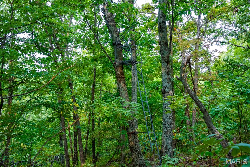 Xxx Kk Road Waterloo, IL 62298 - Photo 63 of 69