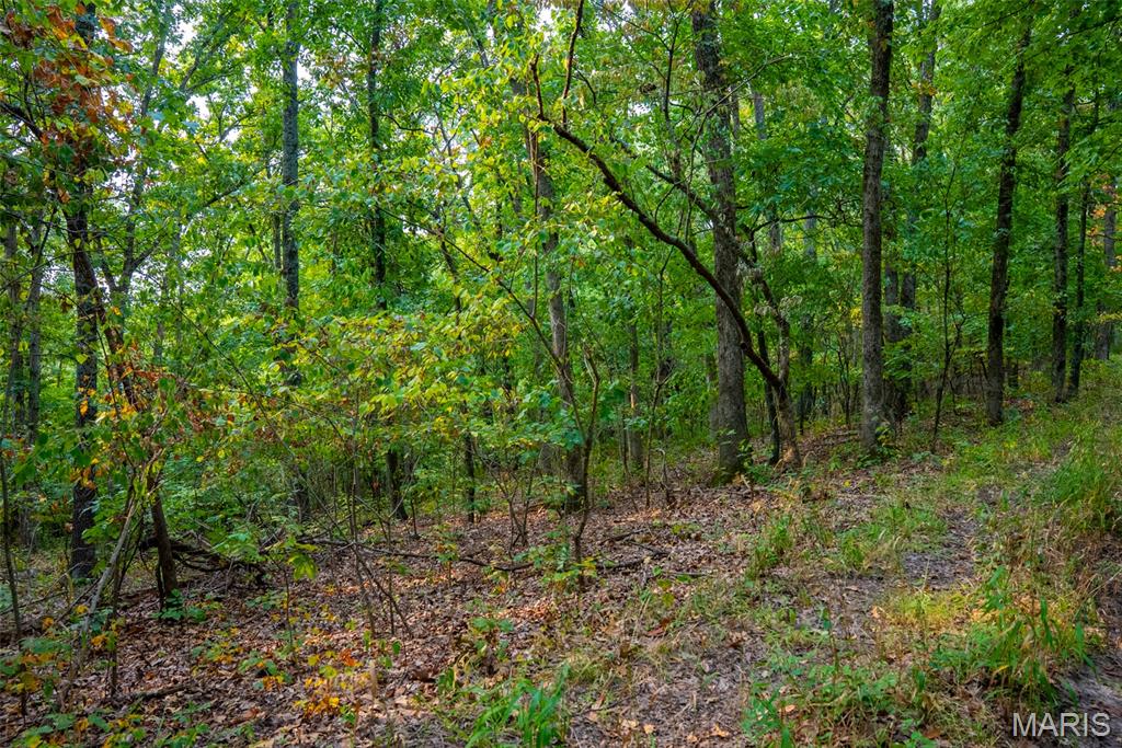 Xxx Kk Road Waterloo, IL 62298 - Photo 64 of 69