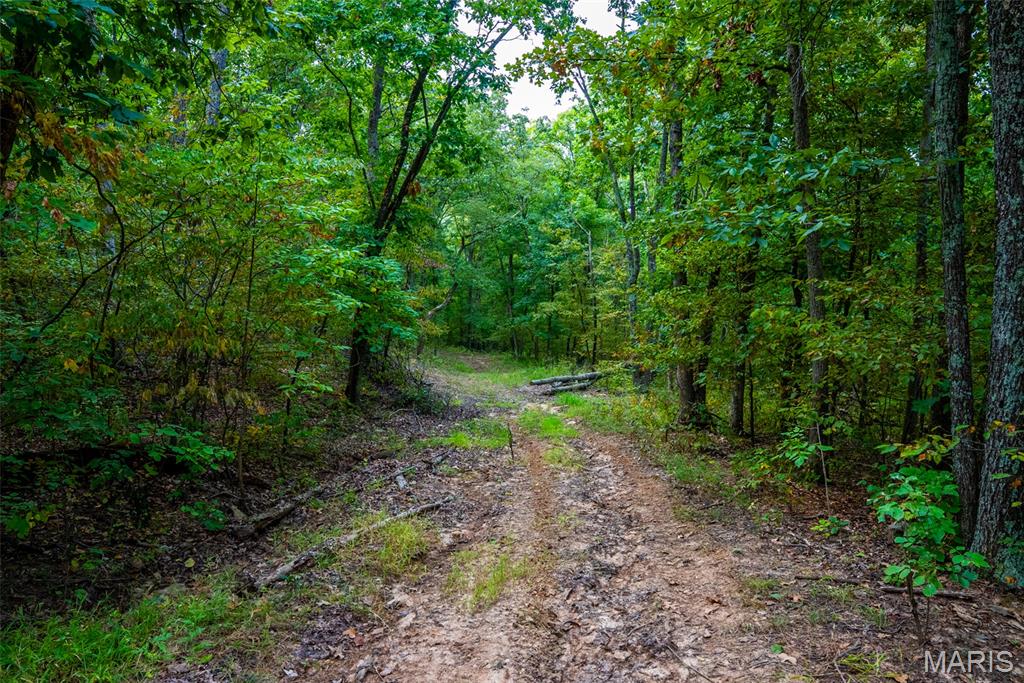 Xxx Kk Road Waterloo, IL 62298 - Photo 65 of 69