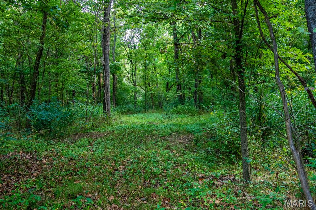 Xxx Kk Road Waterloo, IL 62298 - Photo 67 of 69