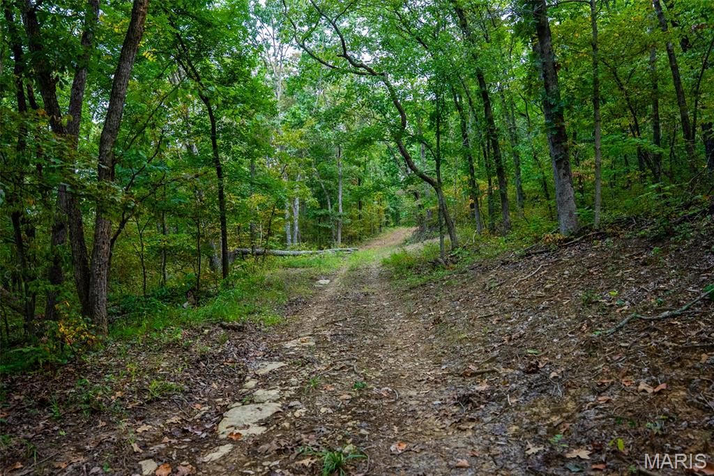 Xxx Kk Road Waterloo, IL 62298 - Photo 8 of 69