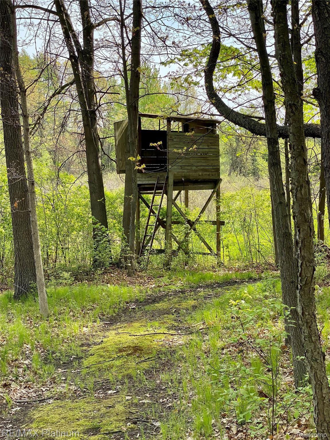 4750 Vines Road Howell, MI 48843 - Photo 34 of 35 Deer Stand in the back woods