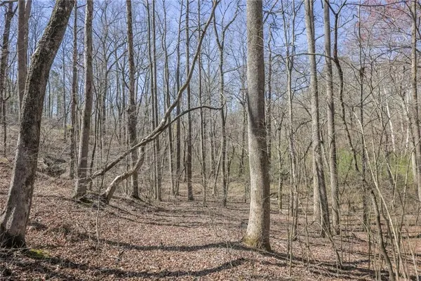 a view of a backyard of the house
