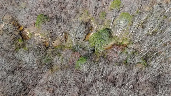 a view of a dry field