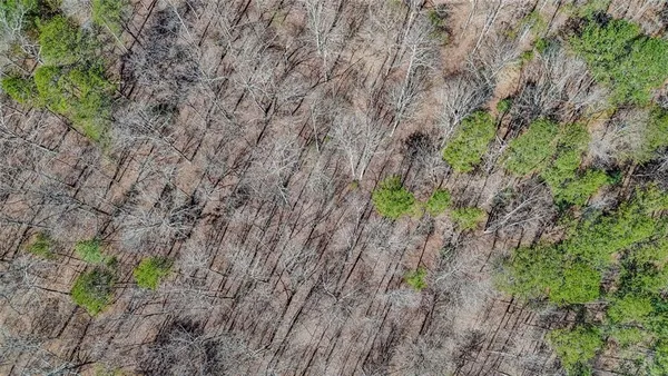 $69,900 | Lot 62 Cherokee Wood Hollow, Ball Ground, GA 30107