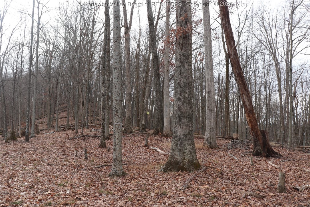 0 Route 12 Road Alum Creek, WV 25003 - Photo 19 of 44 Gallery Image 19