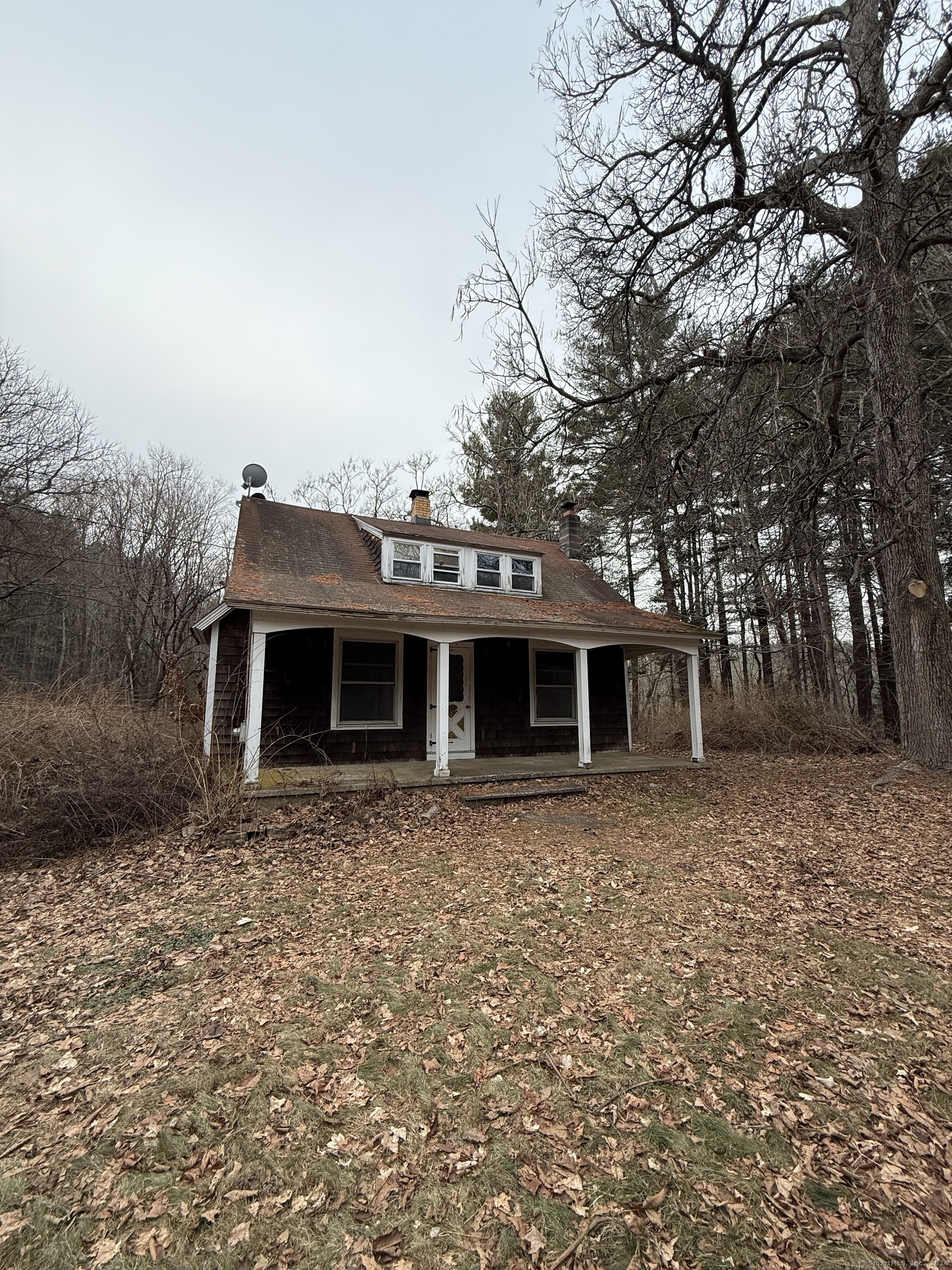 a front view of house with yard and trees