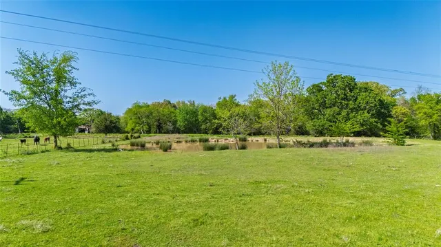a view of a yard with trees