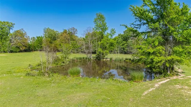 a view of a grassy area with an trees