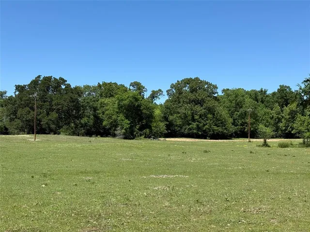 a view of outdoor space and trees