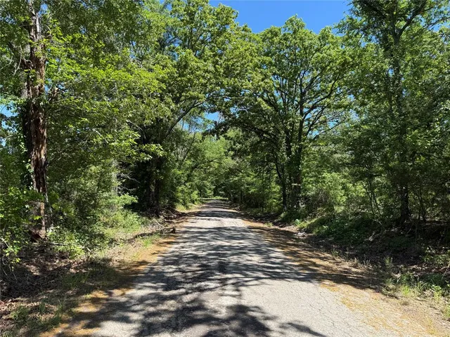 a big yard with lots of green space and house