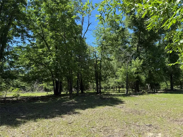 $558,930 | 900 North Saltillo Tx 75478 North, Sulphur Bluff, TX 75481