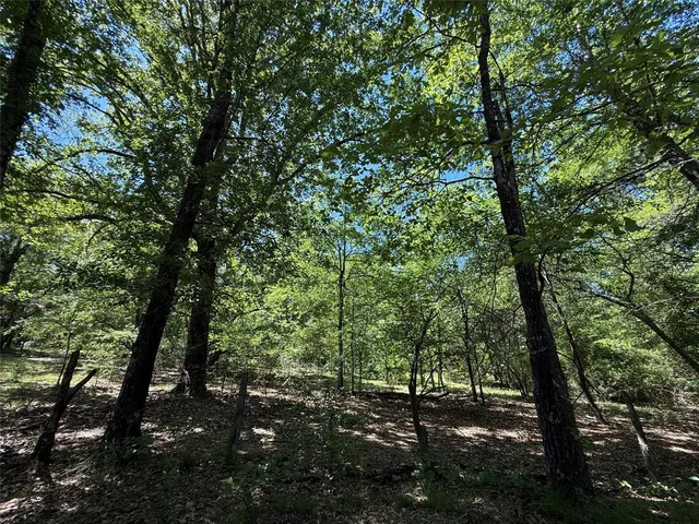 $558,930 | 900 North Saltillo Tx 75478 North, Sulphur Bluff, TX 75481