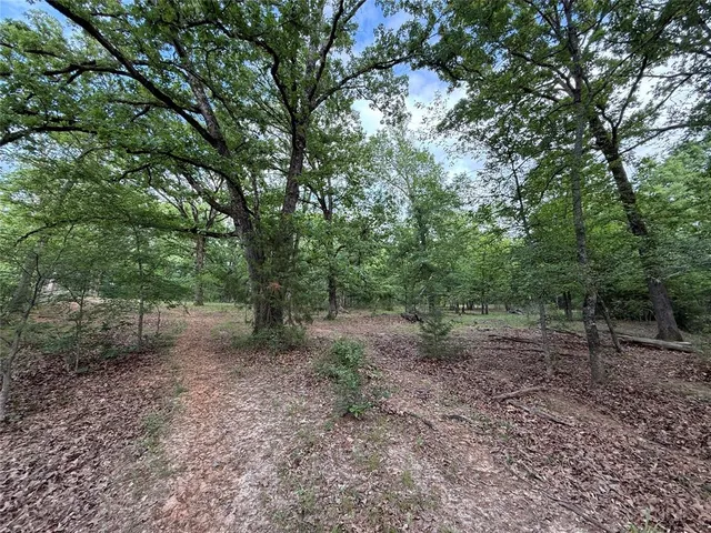 $558,930 | 900 North Saltillo Tx 75478 North, Sulphur Bluff, TX 75481