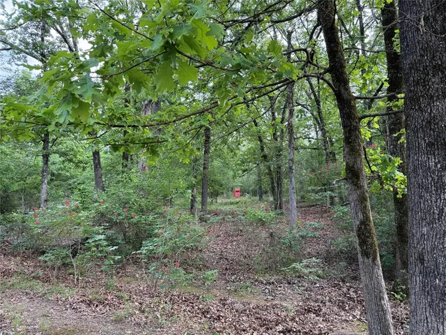 $558,930 | 900 North Saltillo Tx 75478 North, Sulphur Bluff, TX 75481