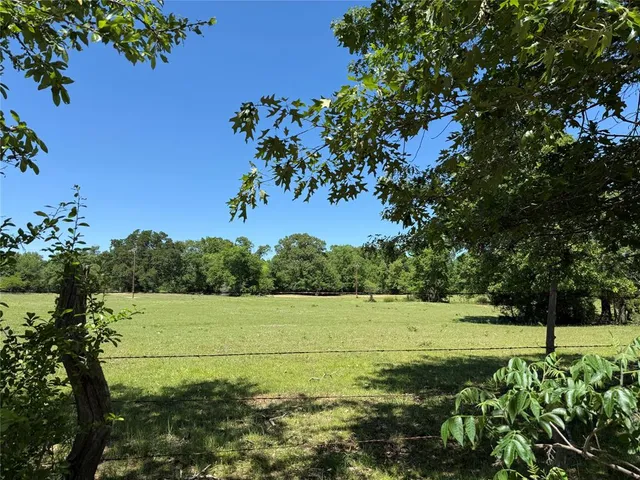 a view of a field with a tree