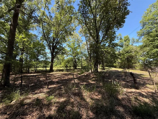 a view of a yard with a tree