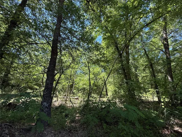 a view of a green field with lots of bushes