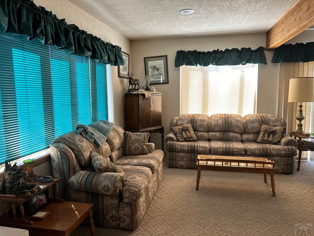66 Hopi Road Westcliffe, CO 81252 - Photo 13 of 64 Gallery Image 13