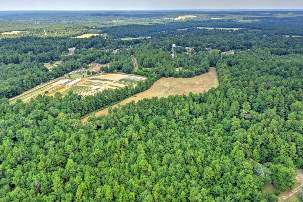 182 New Bridge Road Aiken, SC 29801 - Photo 14 of 18