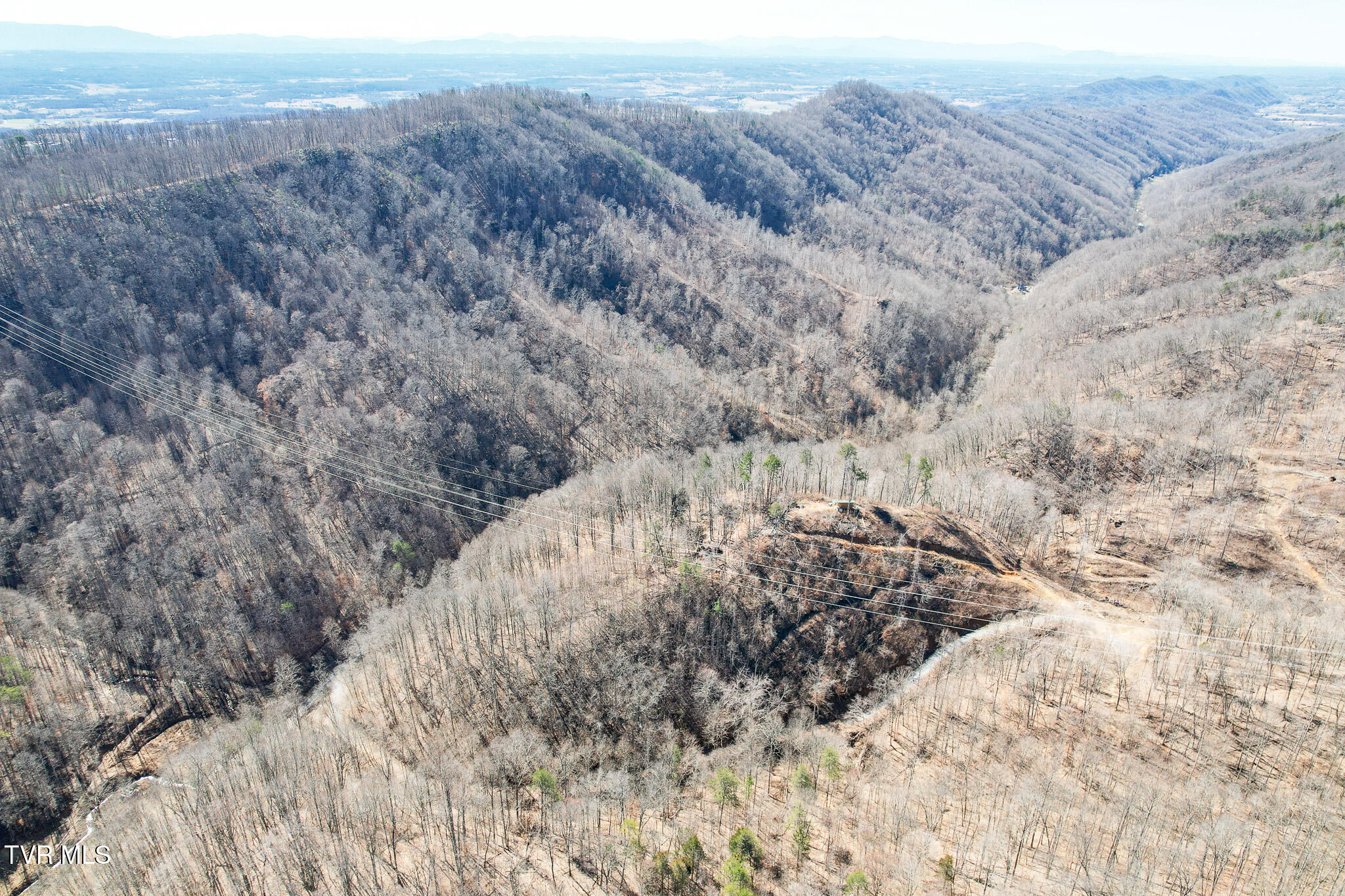 2929 Bear Hollow Road Greeneville, TN 37745 - Photo 13 of 39 13