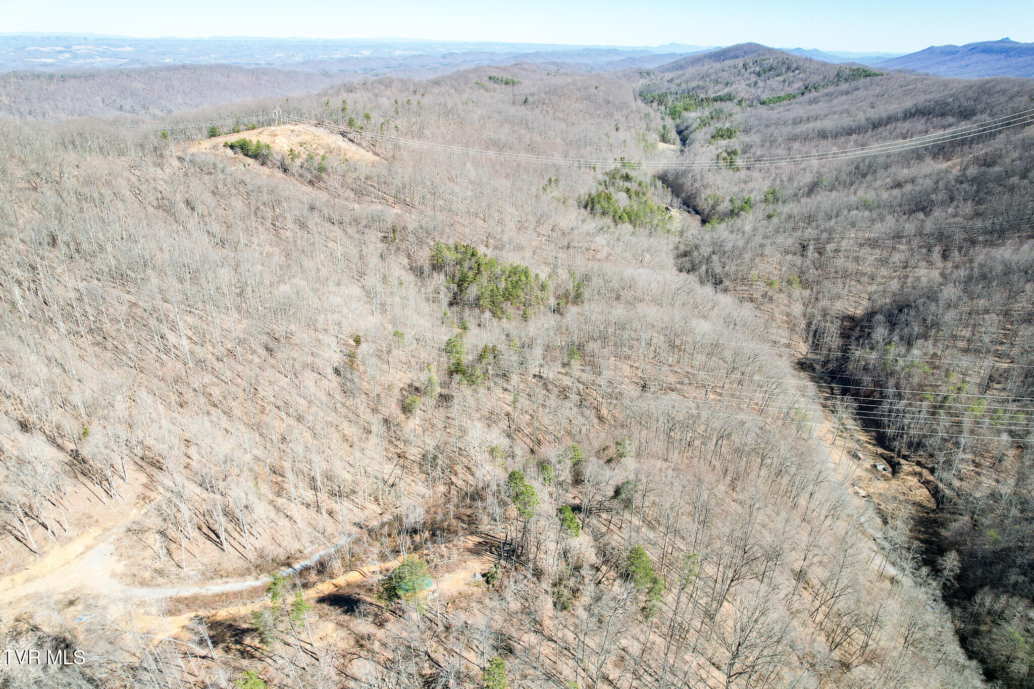 2929 Bear Hollow Road Greeneville, TN 37745 - Photo 16 of 39 16
