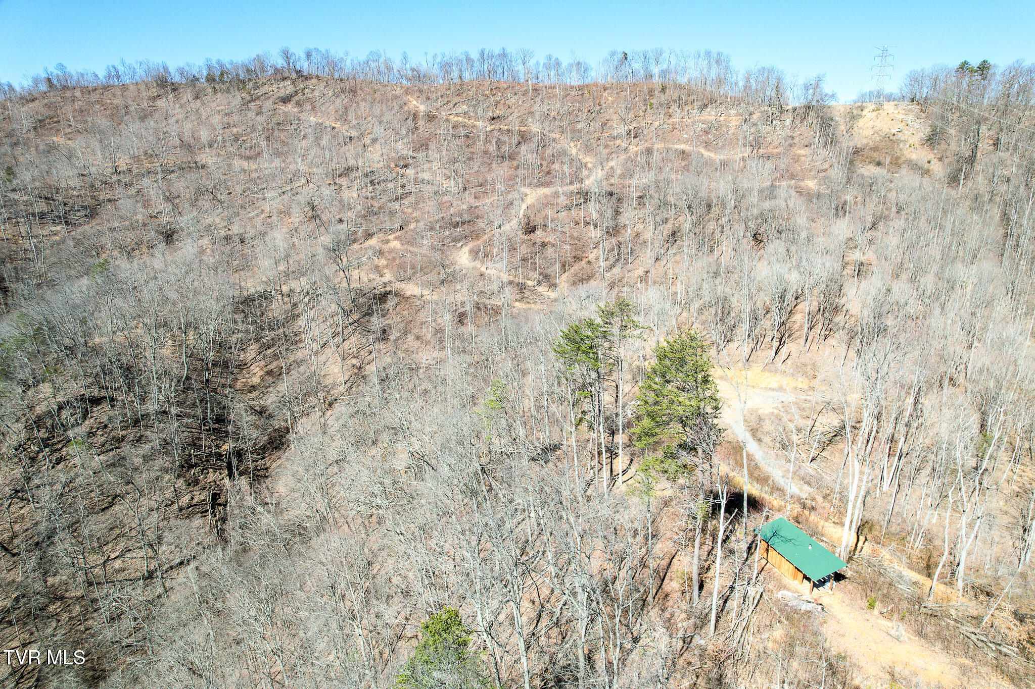 2929 Bear Hollow Road Greeneville, TN 37745 - Photo 20 of 39 20