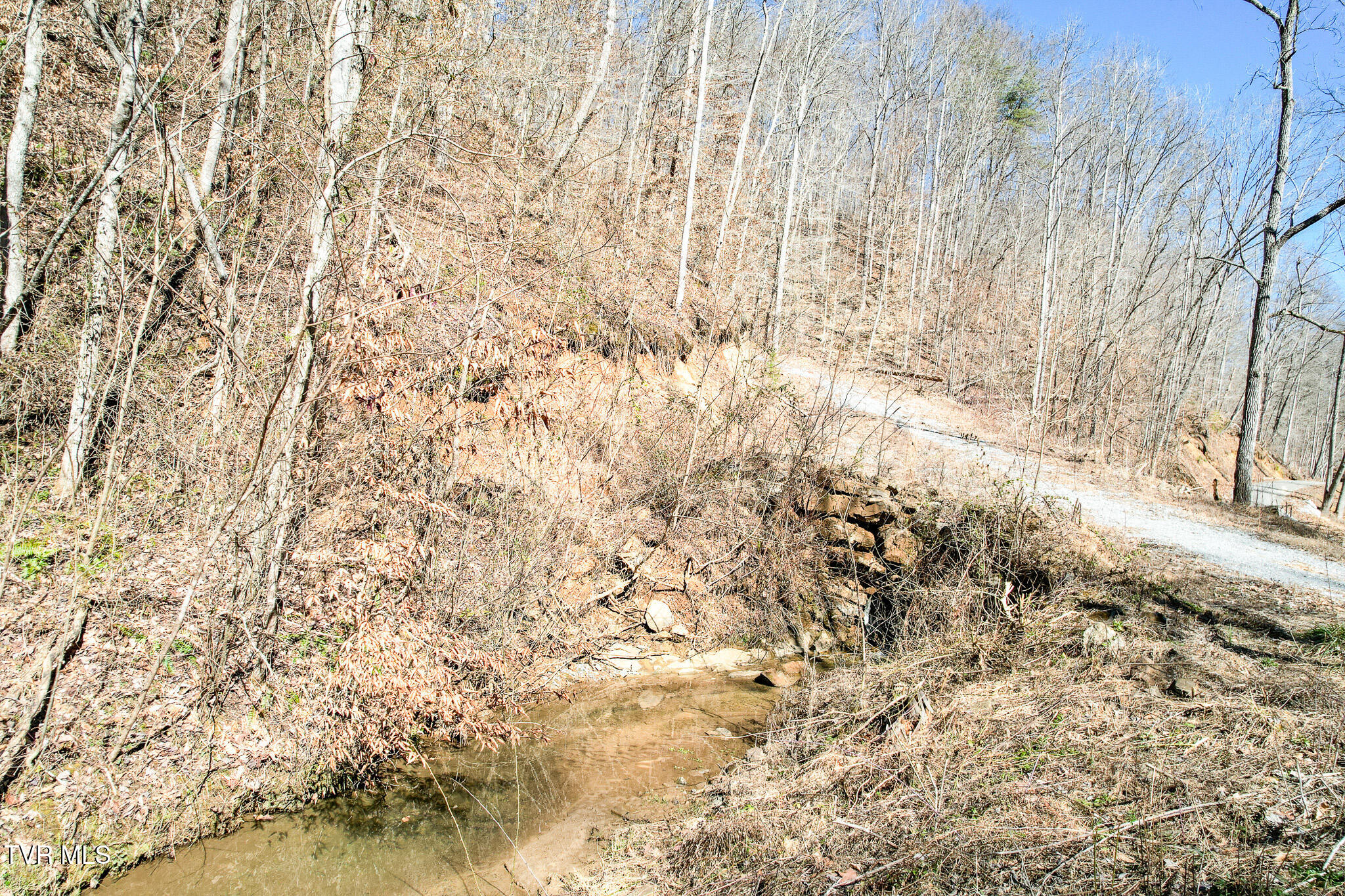 2929 Bear Hollow Road Greeneville, TN 37745 - Photo 21 of 39 21