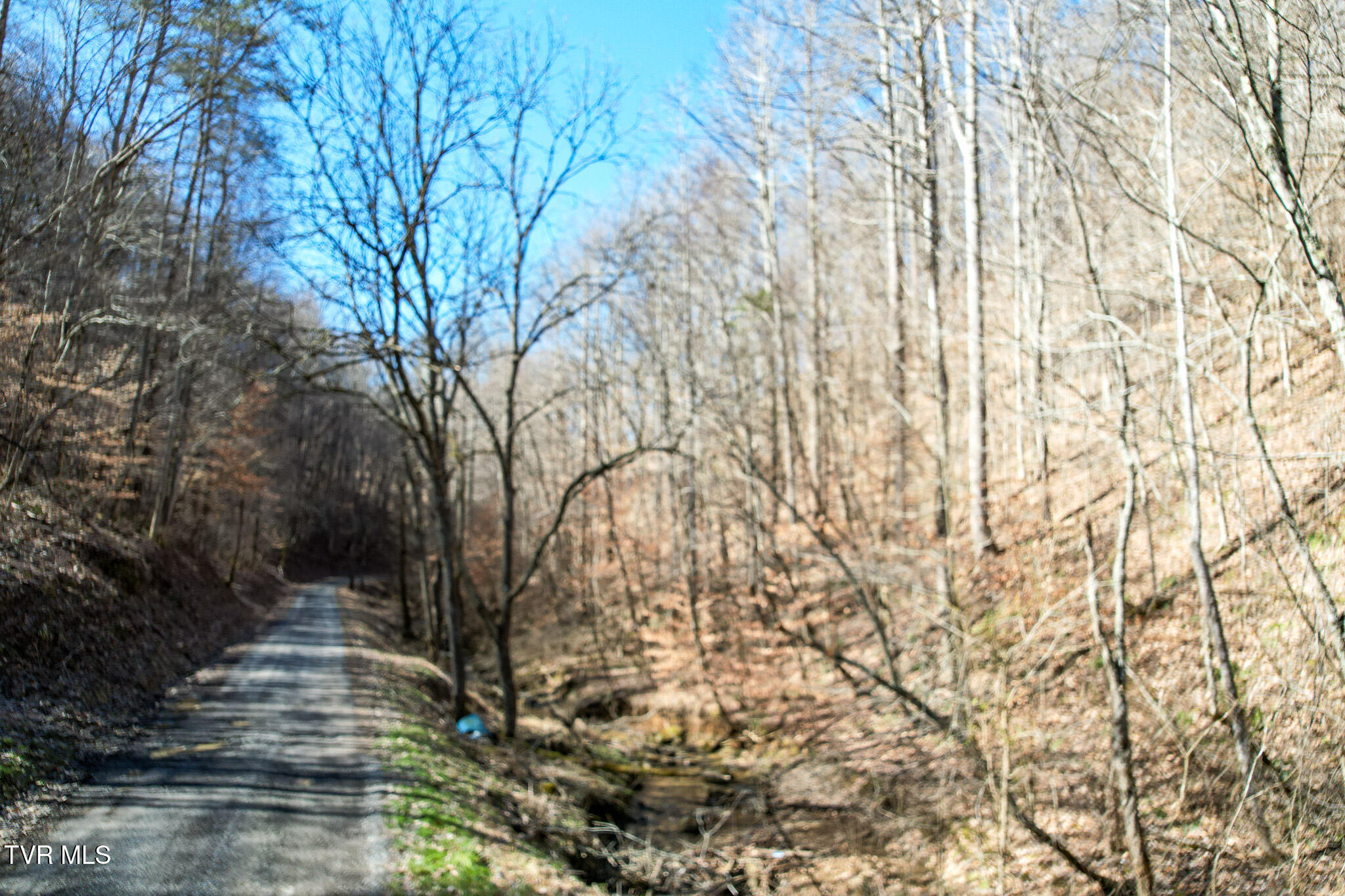 2929 Bear Hollow Road Greeneville, TN 37745 - Photo 23 of 39 23
