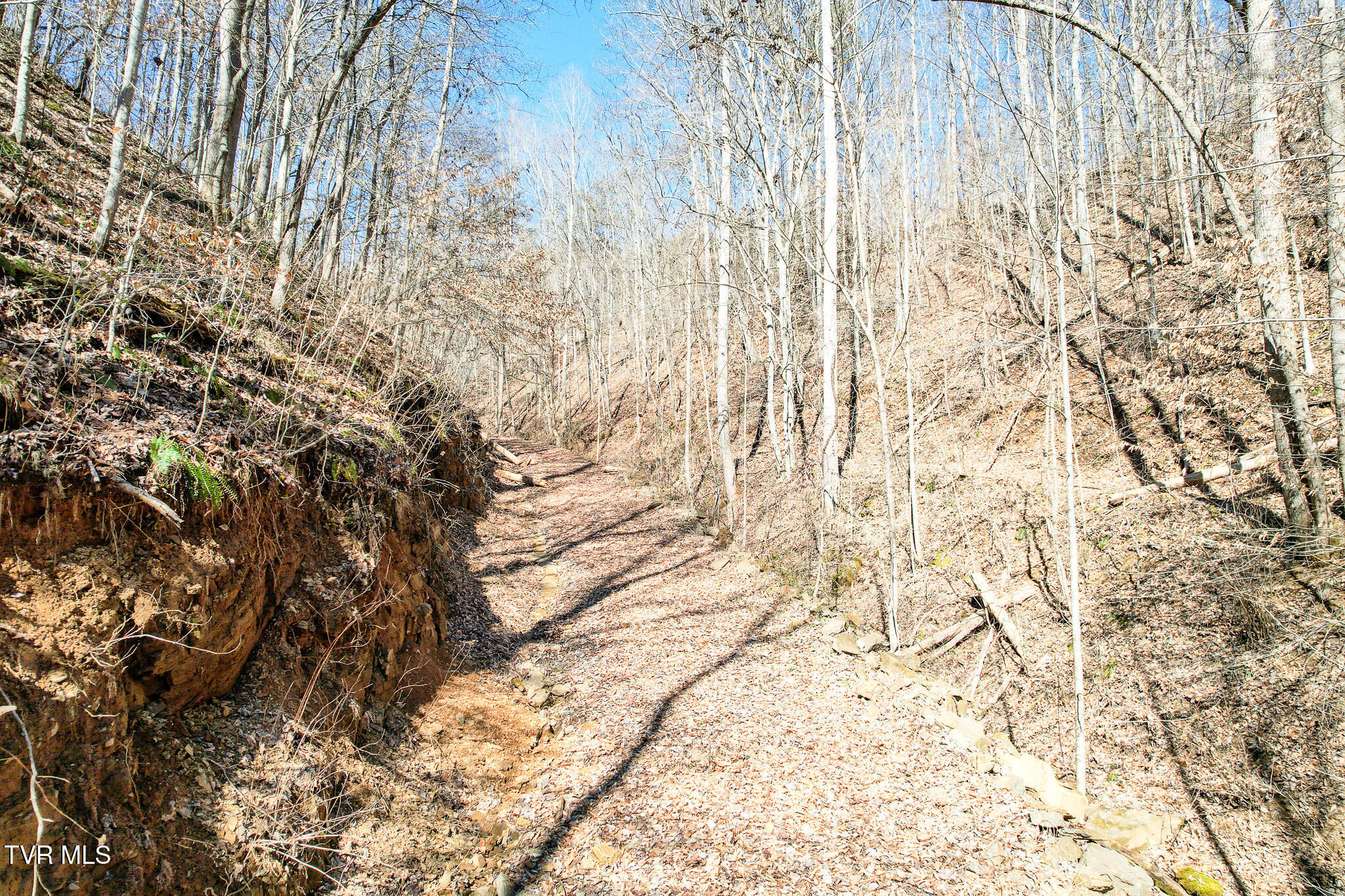 2929 Bear Hollow Road Greeneville, TN 37745 - Photo 27 of 39 27