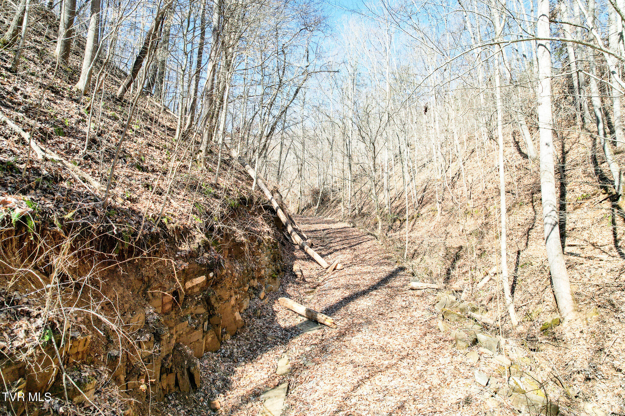 2929 Bear Hollow Road Greeneville, TN 37745 - Photo 28 of 39 28