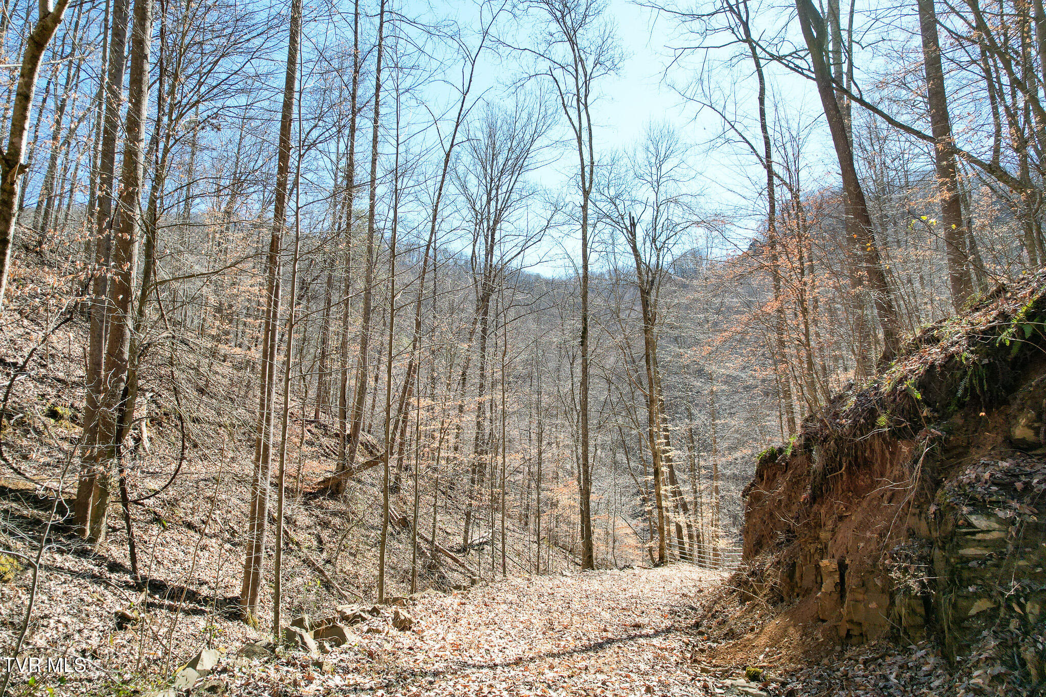 2929 Bear Hollow Road Greeneville, TN 37745 - Photo 29 of 39 29