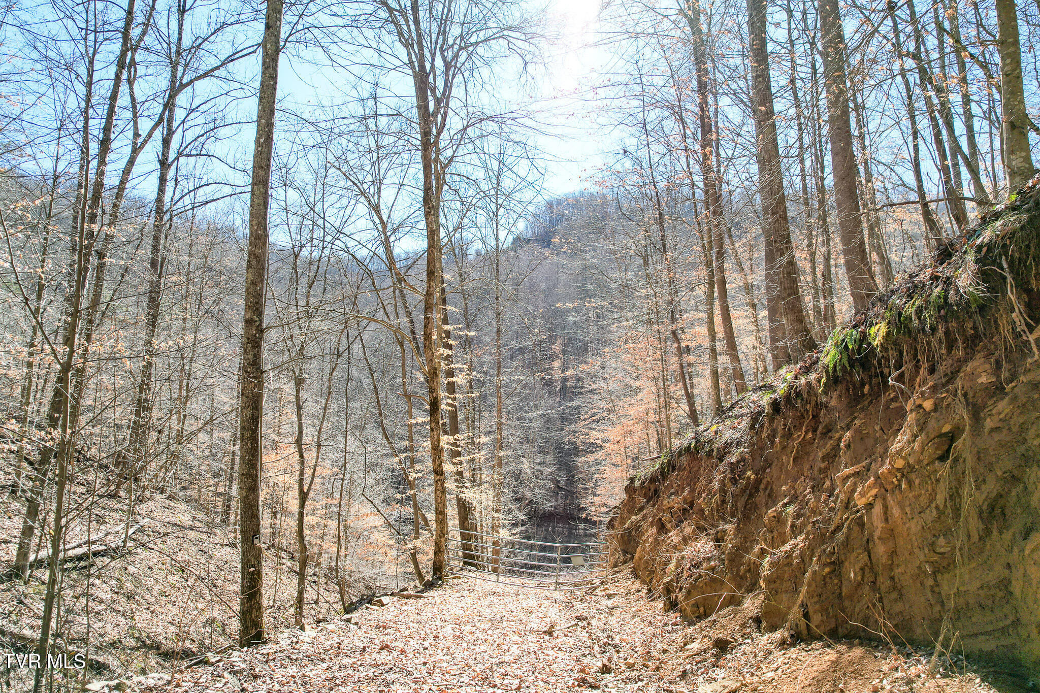 2929 Bear Hollow Road Greeneville, TN 37745 - Photo 30 of 39 30